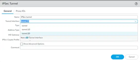 Tunnel Interface Setup